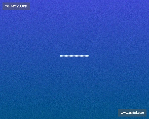 斯图加特与阿森纳就签下法比奥维埃拉展开谈判接触