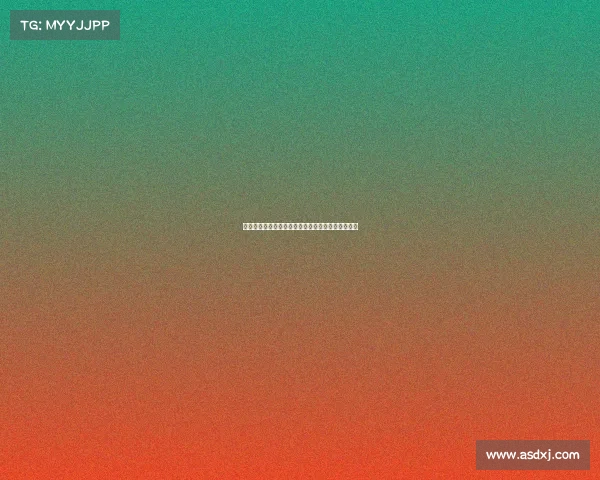 斯图加特与阿森纳就签下法比奥维埃拉展开谈判接触